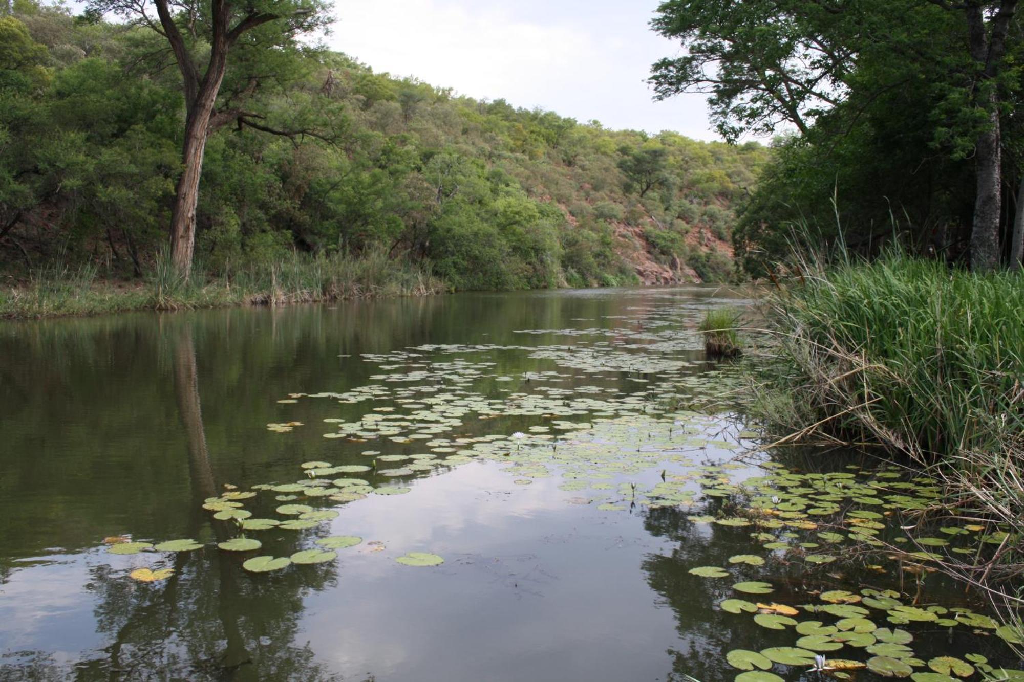 Mologa River Lodge Rust de Winter Ngoại thất bức ảnh