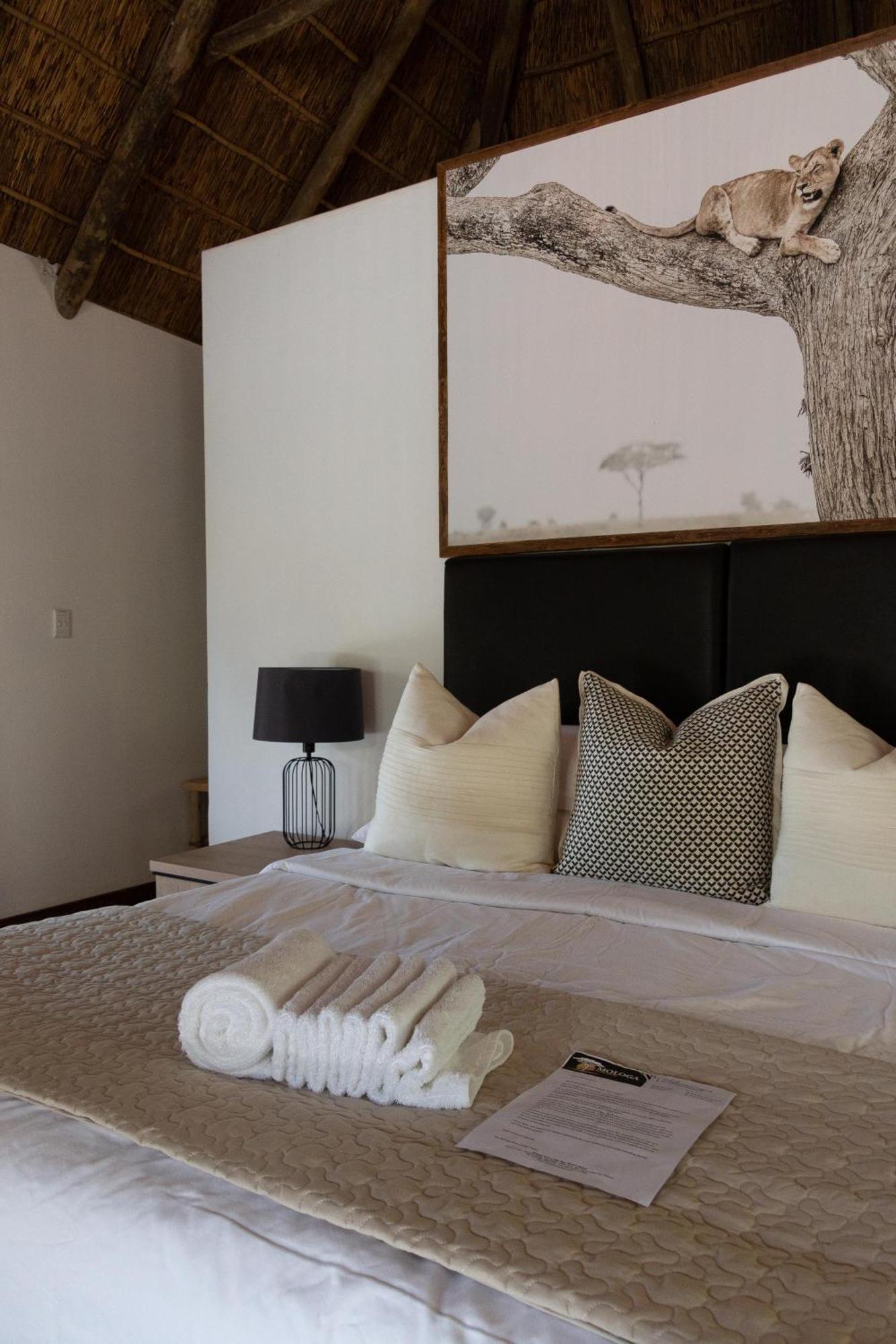 Mologa River Lodge Rust de Winter Ngoại thất bức ảnh