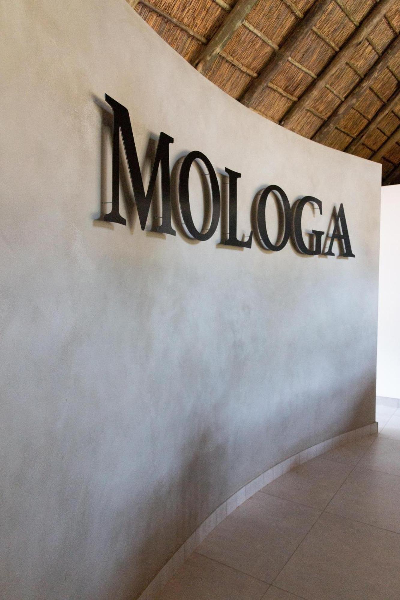 Mologa River Lodge Rust de Winter Ngoại thất bức ảnh
